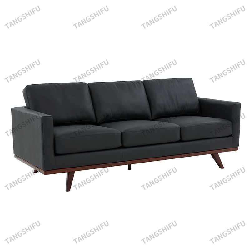 Elegant Living Sofa