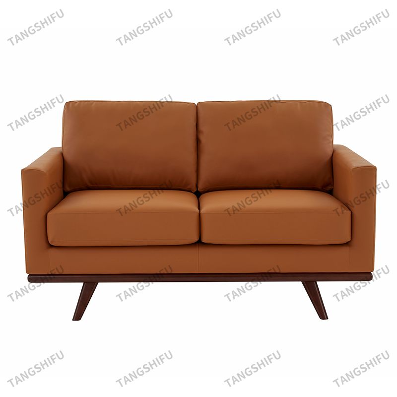 Modern Compact Loveseat