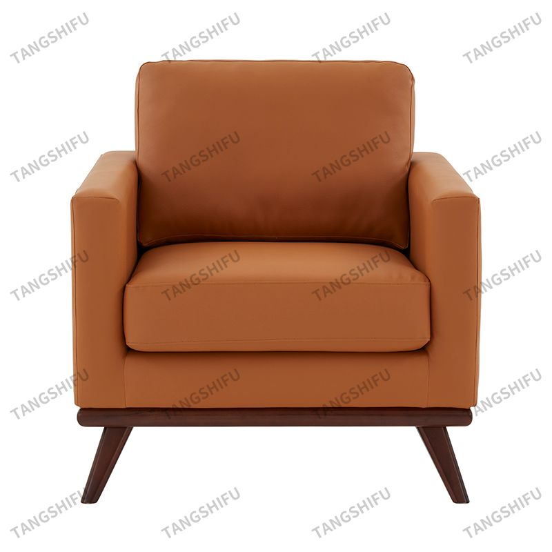 Contemporary Accent Armchair