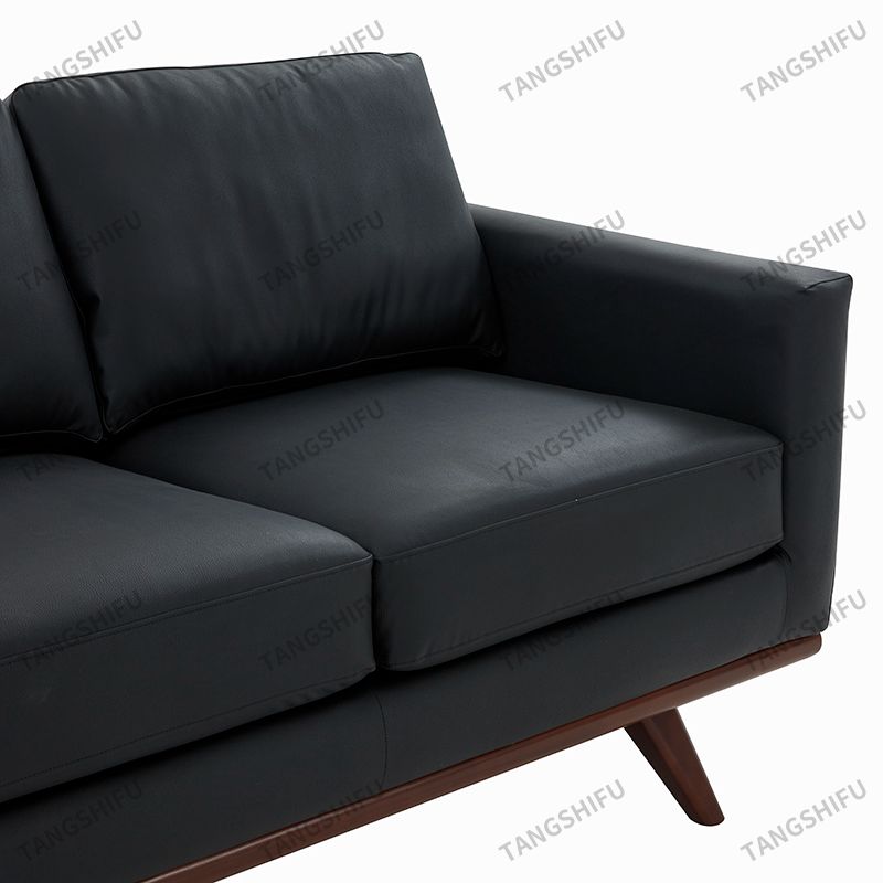 Elegant Living Sofa