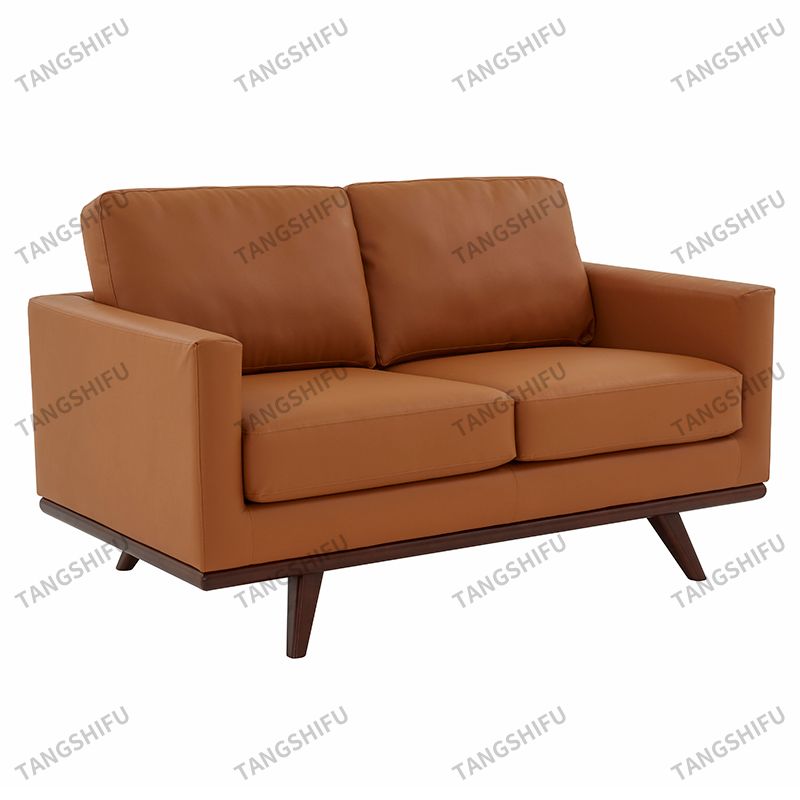Modern Compact Loveseat