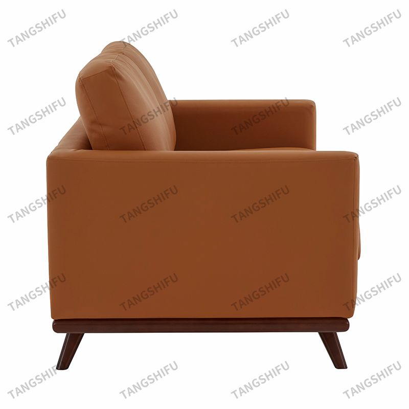 Modern Compact Loveseat
