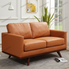 Modern Compact Loveseat