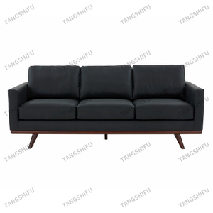Elegant Living Sofa