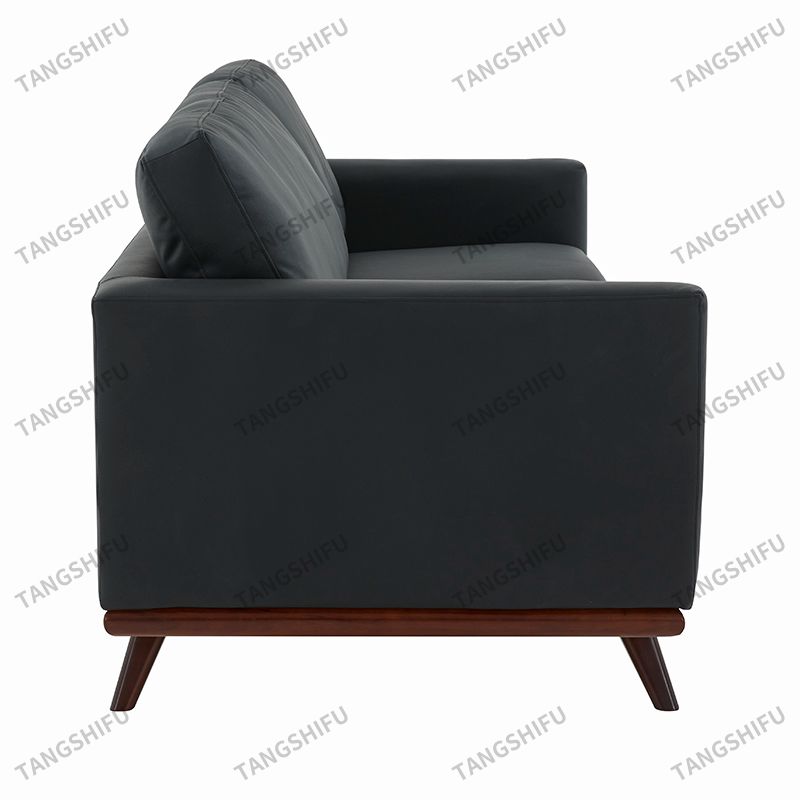Elegant Living Sofa